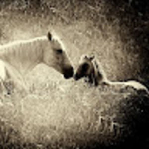 Meet your Posher, Jadyn